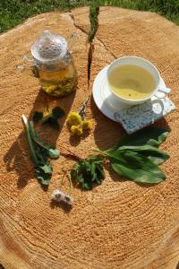 Ern&auml;hrung Fr&uuml;hling